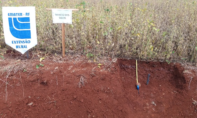 Calagem do solo potencializa produção e lucratividade das lavouras
