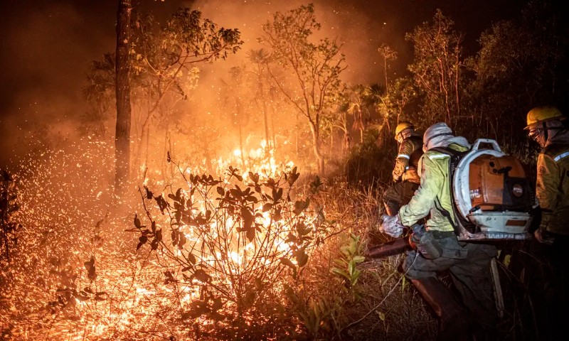 MapBiomas: área queimada no Brasil cresceu 90% em 2024