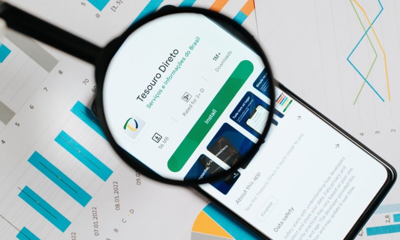 ECONOMIA:  O site do Tesouro teve um crash