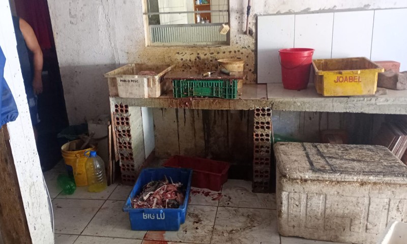 Tramandaí: Brigada Militar prende comerciante com 1 tonelada de pescado impróprio para consumo humano