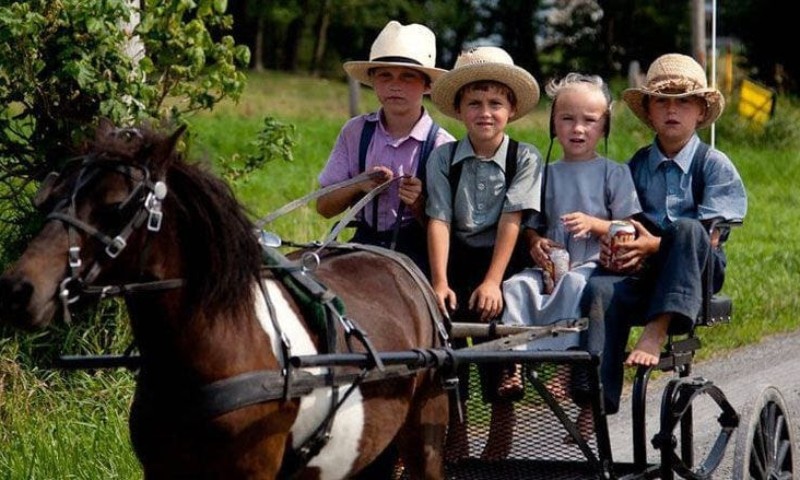 Sem tecnologia, sem autismo: o curioso caso das crianças Amish