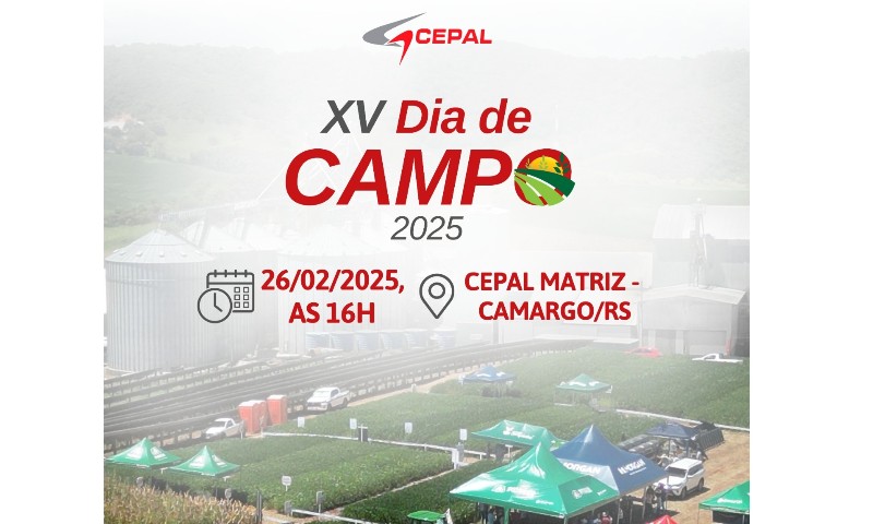 AGRO: Cepal Cerais promove o XV Dia de Campo