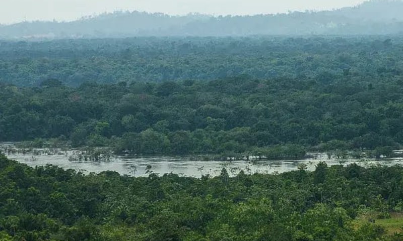 BRASIL: Metade dos rios do Brasil estão “sob pressão”