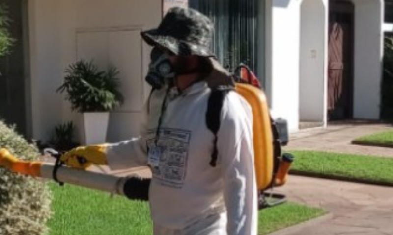 Vila Maria: confirmado primeiro caso de dengue no município