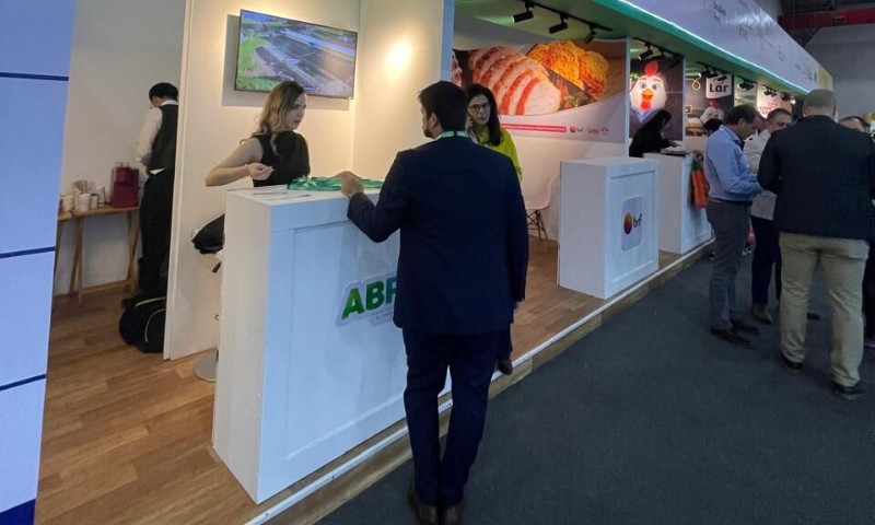Após ação no México, exportadores de aves e de suínos projetam US$ 115 milhões em negócios