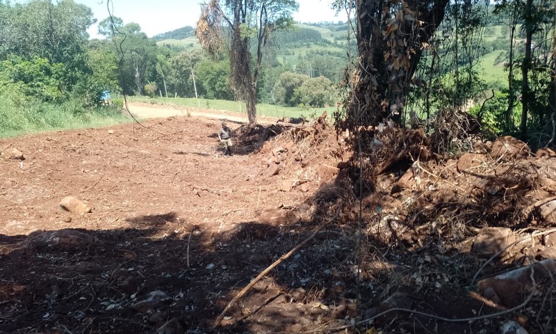 Brigada Militar flagra supressão de vegetação nativa no interior do Estado