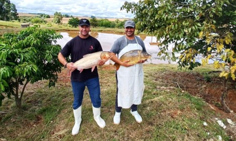 Emater/RS-Ascar estima venda de mais de 2,5 mil toneladas de pescado na Semana Santa no RS