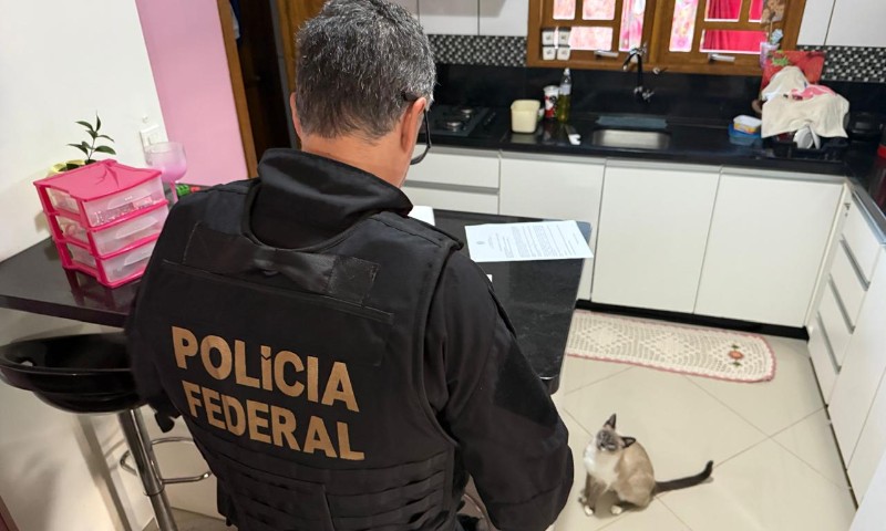 RS: Polícia Federal combate crimes eleitorais