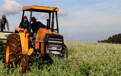 Produtores intensificam atividades de preparo para plantio de culturas de inverno