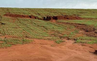 Chuvas prejudicam lavouras e atrasam plantio da safra de inverno no RS