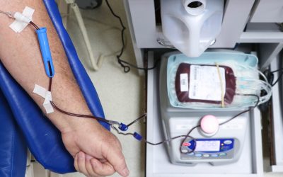 Junho Vermelho: campanha de doação de sangue é voltada a pessoas que ainda não completaram 60 anos