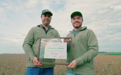 Produtor do Rio Grande do Sul alcança 343,1 sacas por hectare de milho verão