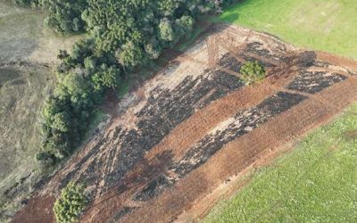 Brigada Militar flagra supressão de vegetação e queimada ilegal em Marau