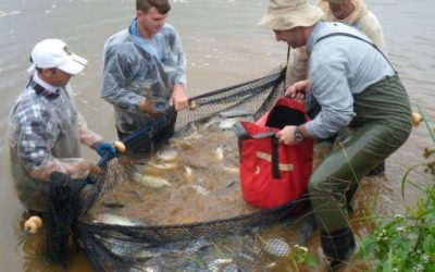 Estratégias de manejo amenizam impactos do frio na piscicultura