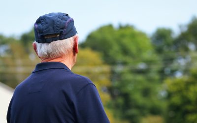 CPI do INSS: oposição derrota governo e elege Carlos Viana por 17 votos a 14