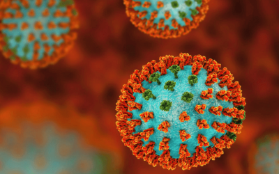 SAÚDE: Nova gripe gera alerta da OMS para 2026