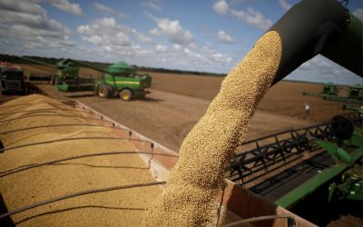 ECONOMIA: O agro brasileiro está cada vez mais pop no exterior