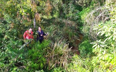 Emater/RS-Ascar consolida atuação ambiental contínua