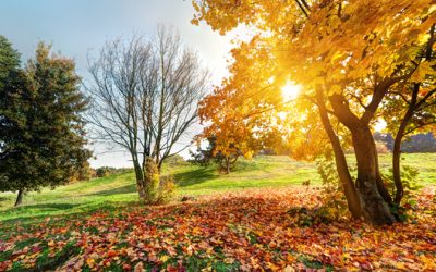 CLIMA: Sexta-feira marca início do outono com sol e calor no Rio Grande do Sul