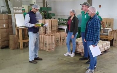 Selo de qualidade fortalece produção e agrega valor à erva-mate no RS