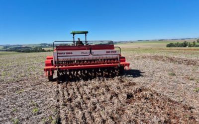 Inicia período recomendado de plantio de trigo no RS