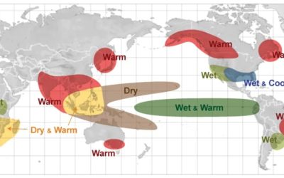 ECONOMIA: El Niño volta ao radar e preocupa o agro brasileiro