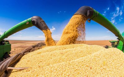 ECONOMIA: Agro aumenta produção de soja, mas vê lucro cair