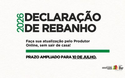 Declaração Anual de Rebanho: prazo foi prorrogado até 10 de julho em todo o RS
