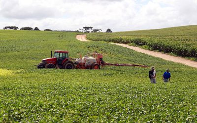 Estimativa da soja aponta novo recorde na série histórica