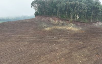 Brigada Militar flagrou desmatamentos no município de Marau
