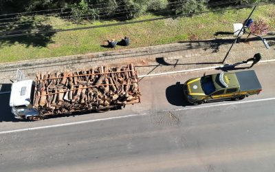 Carga de lenha nativa é apreendida em Marau