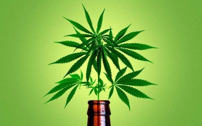 SAÚDE: A maconha está mais popular do que o álcool e o cigarro?
