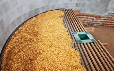 Cuidados na pós-colheita ajudam a preservar a qualidade dos grãos