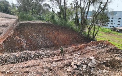Flagrante de supressão de vegetação nativa em Marau