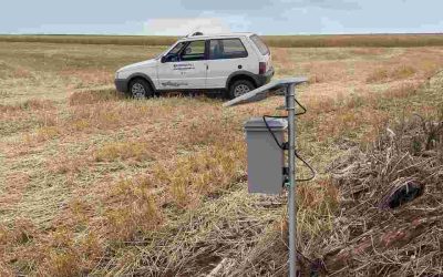 Emater/RS-Ascar amplia e inova no monitoramento da ferrugem asiática da soja